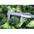 IQF Frozen Vegetable Food Broccolis